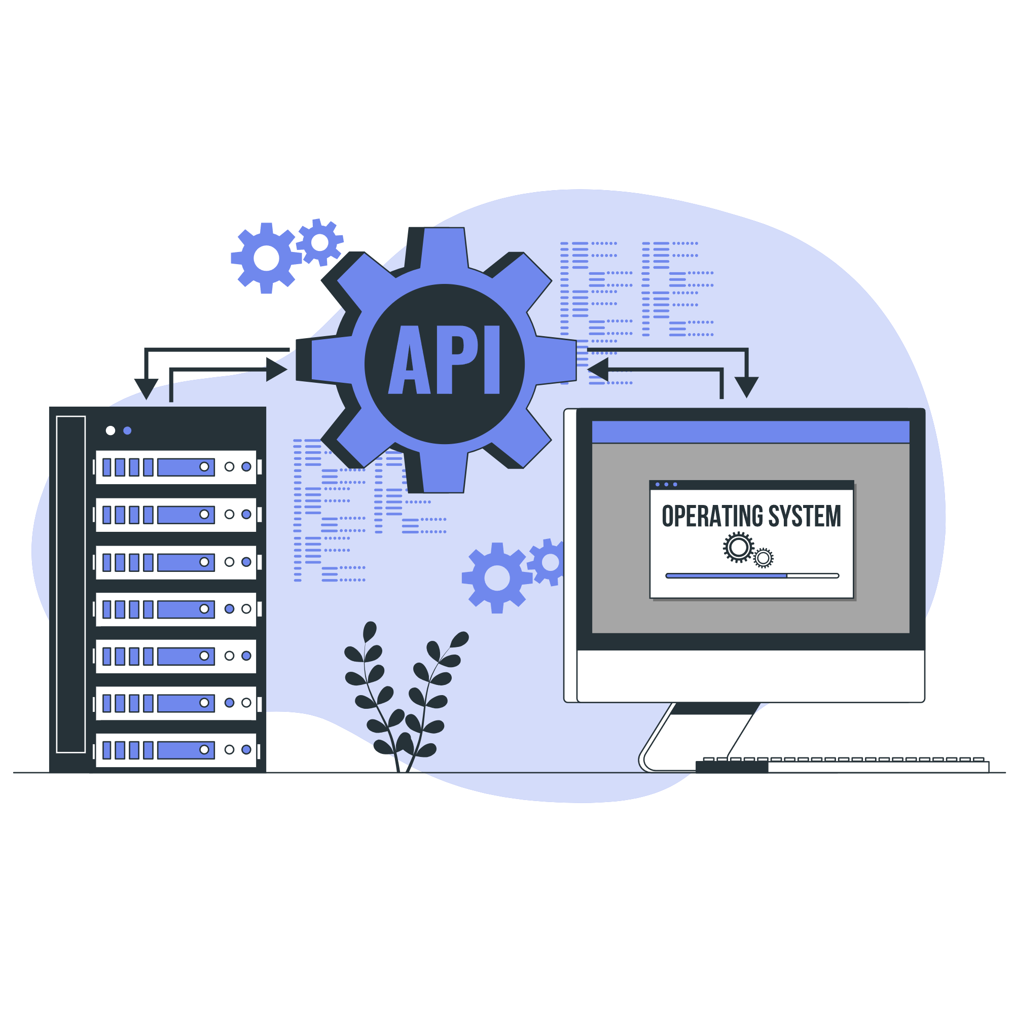 API Integration​